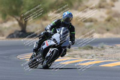 media/May-14-2023-SoCal Trackdays (Sun) [[024eb53b40]]/Turn 5 Tree of Life (1125am)/